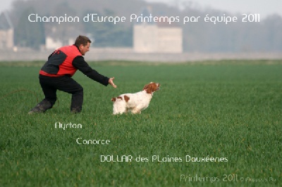Des plaines dauxeenes - [Photos] Coupe d'Europe Printemps 2011