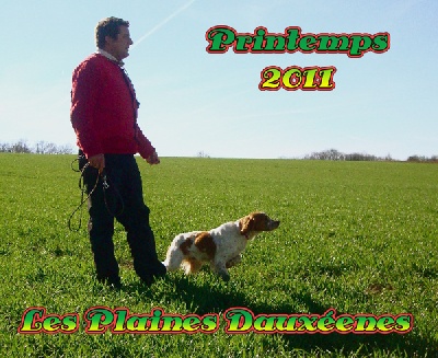 Des plaines dauxeenes - Calendrier Printemps 2011