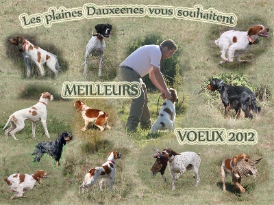 Des plaines dauxeenes - Meilleurs Voeux pour 2012 !