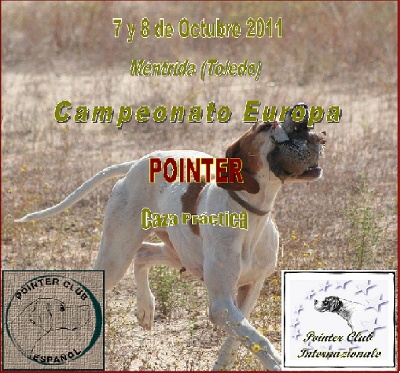 Des plaines dauxeenes - Championnat d'Europe Pointer 2011