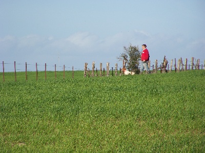 Des plaines dauxeenes - Photos de l'équipe de printemps 2010