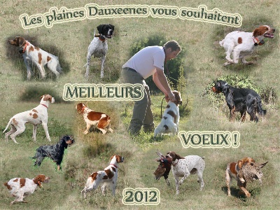 Des plaines dauxeenes - Meilleurs Voeux pour 2012 !