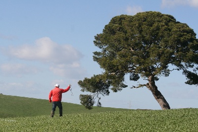 Des plaines dauxeenes - Les photos de l'Andalousie