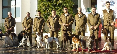 Des plaines dauxeenes - [Serbie] Championnat du Monde Gibier Tiré de chiens d'Arrêt