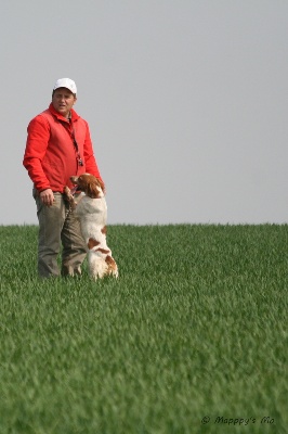 Des plaines dauxeenes - Bilan de la saison de printemps 2012 : Grèce, Croatie, France.