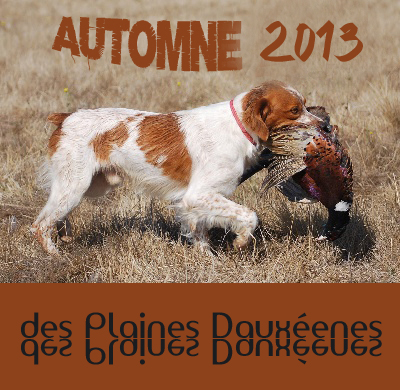 Des plaines dauxeenes - Calendrier Automne Gibier Tiré 2013