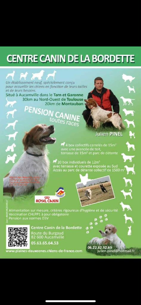 Des plaines dauxeenes - Dressage chiens d'arret 